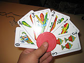 Sujeta - cartas: