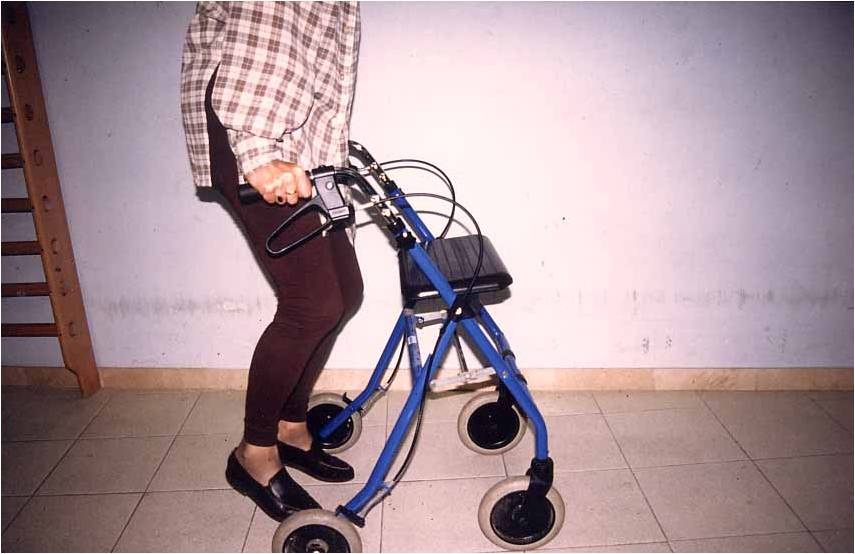 Andador: